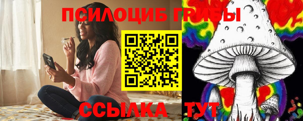 Майский  Галлюциногенные грибы Psilocybe  Вход с VPN 